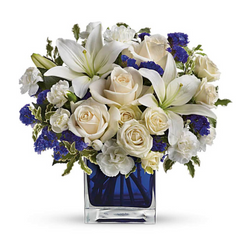 Lilies Collection