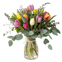 Tulips
