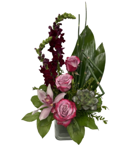 Orchid Jewels