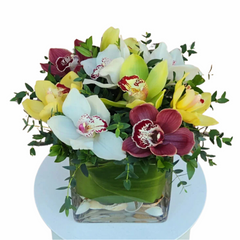 Orchids