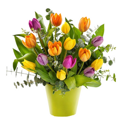 Featured Products