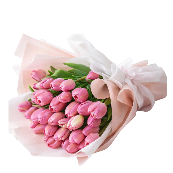 20 Pink Tulips