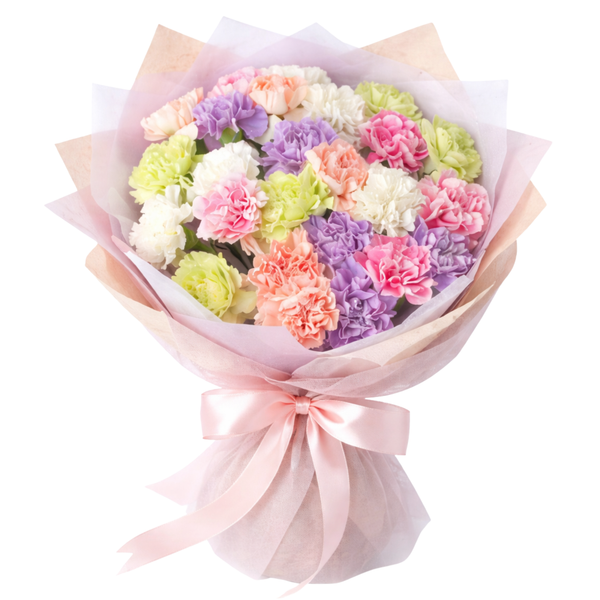 30 Mixed Carnations