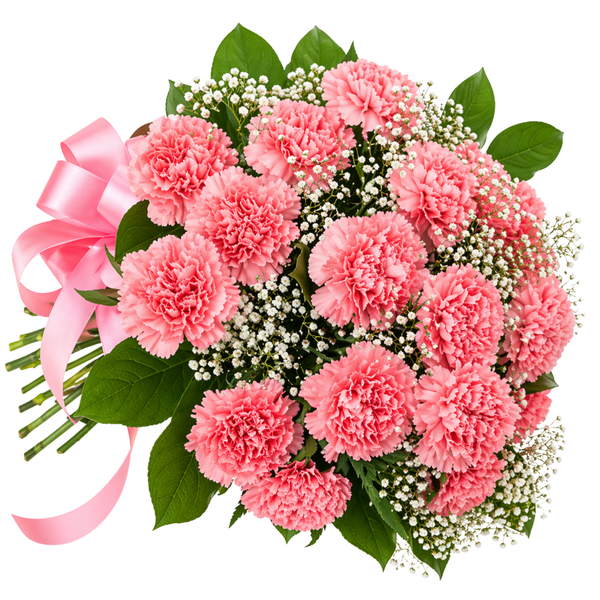 18 Pink Carnations Bouquet