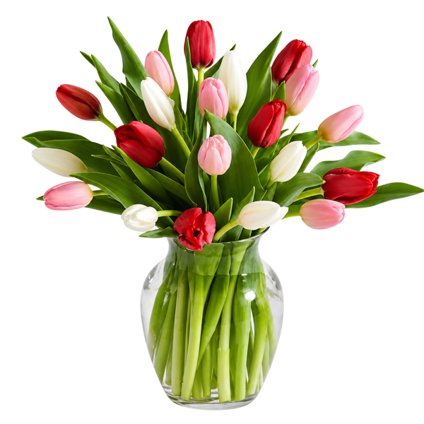 20 mixed tulips
