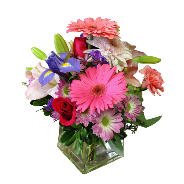 Shades of Purple Vibrancy