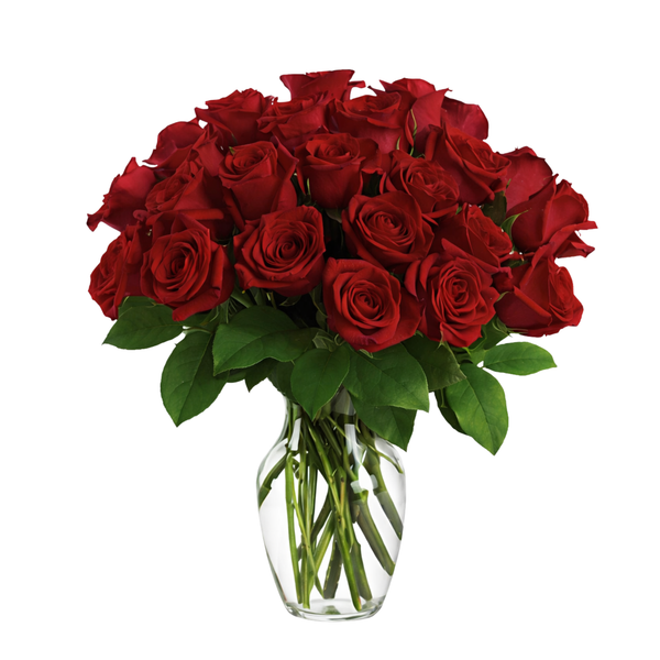 Two Dozen Red Roses