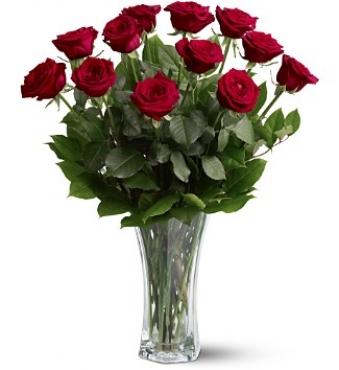DOZEN PREMIUM LONG STEM ROSES